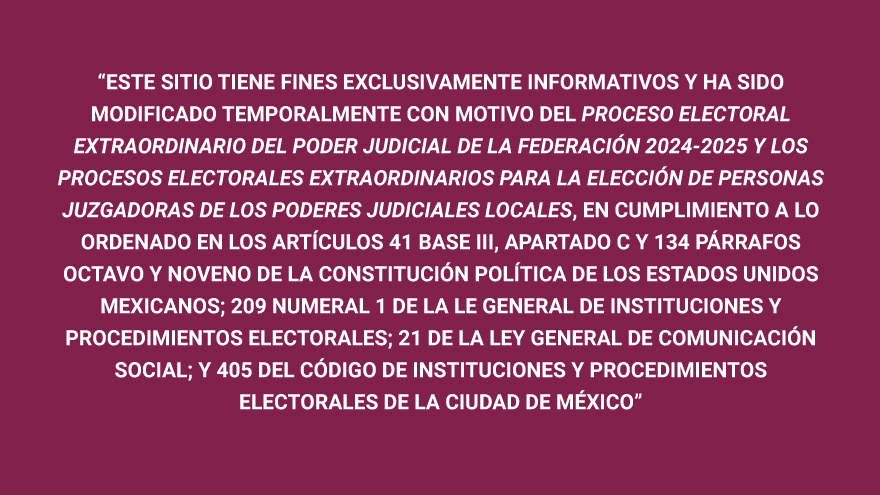 Proceso Electoral Extraordinario 2024-2025